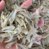 Dried Anchovy Fillet 3