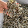 Dried Anchovy Fillet 8