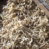 Dried Anchovy Yellow 4
