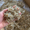 Dried Anchovy Yellow 6