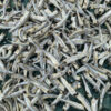 High-Quality Dried Headless Anchovy Wholesale | Vietnam