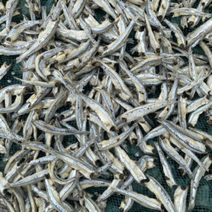High-Quality Dried Headless Anchovy Wholesale | Vietnam