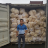 Premium Fried Fish Maw Oval Shape Wholesale | HuvyExim