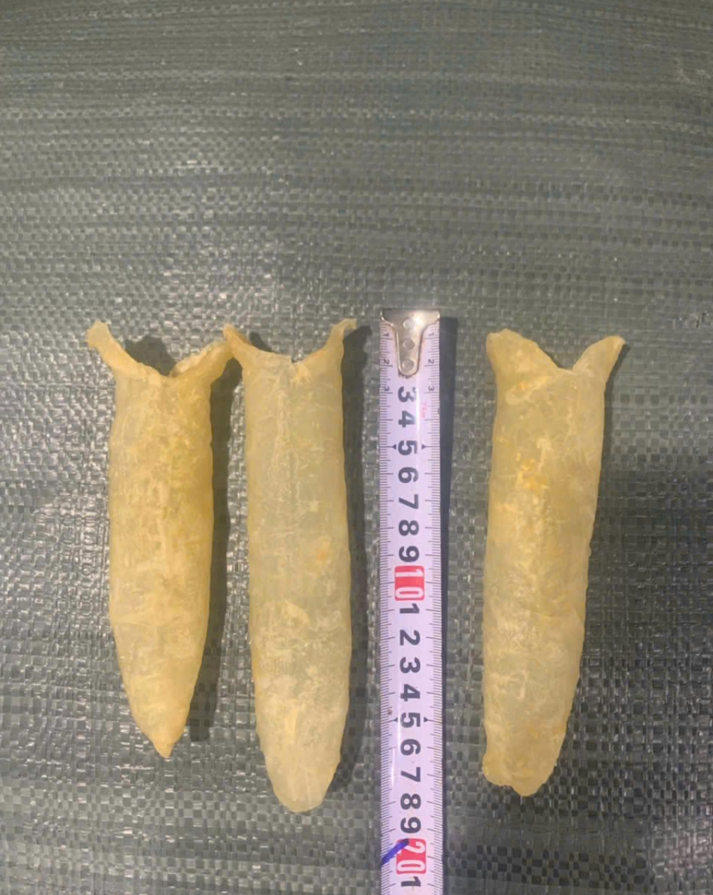 Seabass Style Fish Maw (3) Seabass Style Fish Maw 3