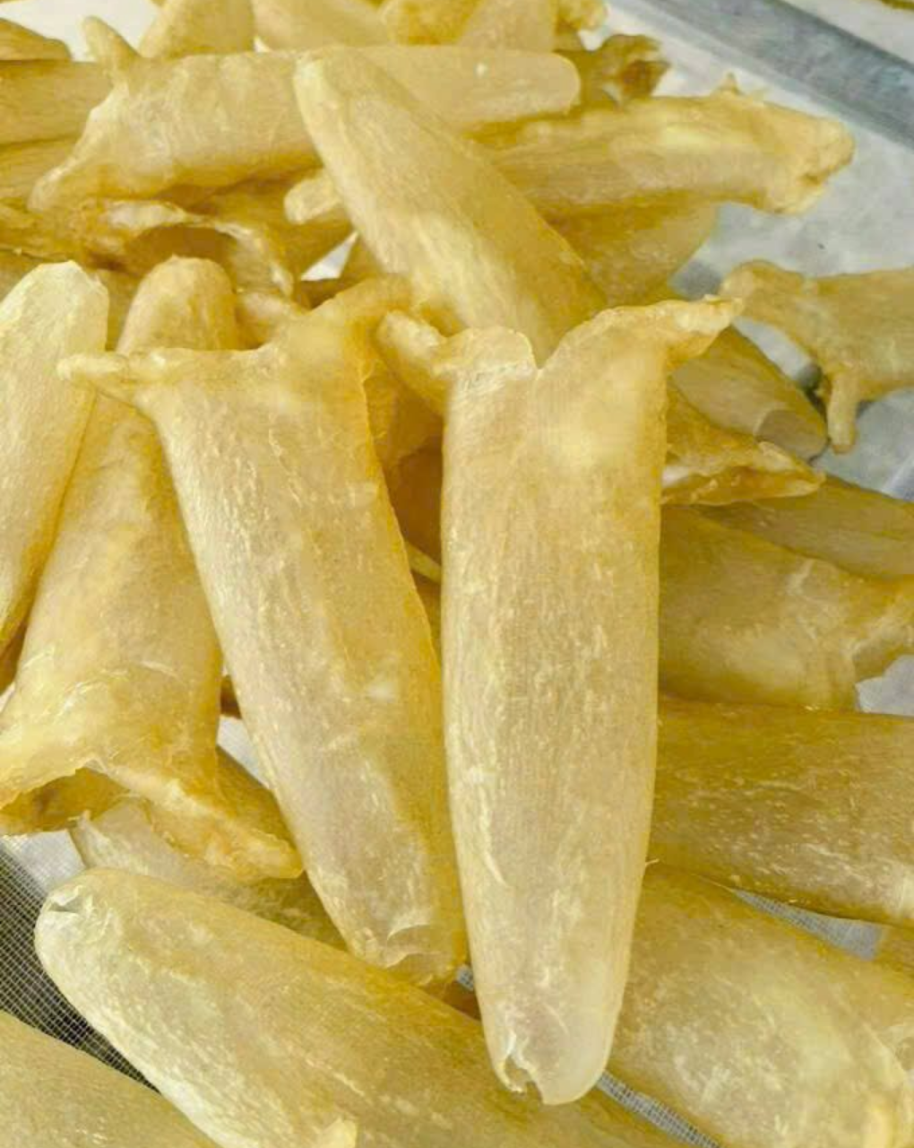 Seabass Style Fish Maw Seabass Style Fish Maw (Imitation) Wholesale | HuvyExim