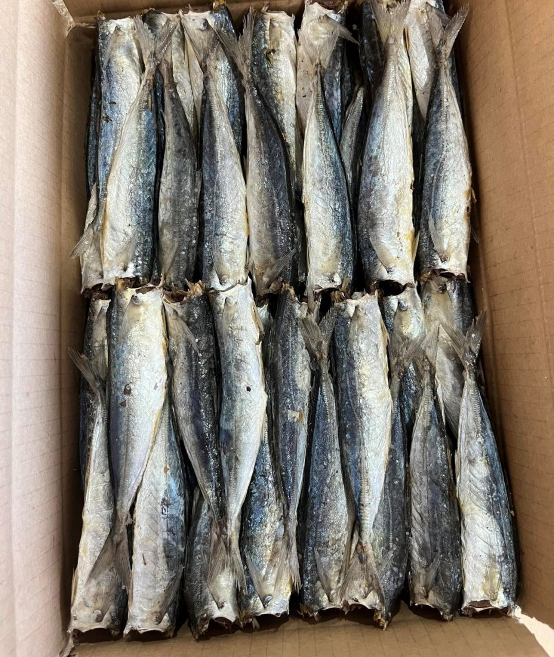 Premium Dried Layang Scad Fish Wholesale Exporter | HuvyExim