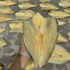 dried pangasius fish 3