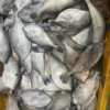Dried Seasoned Leather Jacket Fish 3 dried seasoned leather jacket fish 1