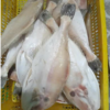 Dried Seasoned Leather Jacket Fish 4 dried seasoned leather jacket fish