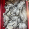 Dried Seasoned Leather Jacket Fish 2 dried seasoned leather jacket fish 2