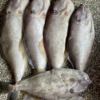 Dried Seasoned Leather Jacket Fish 1 dried seasoned leather jacket fish 4