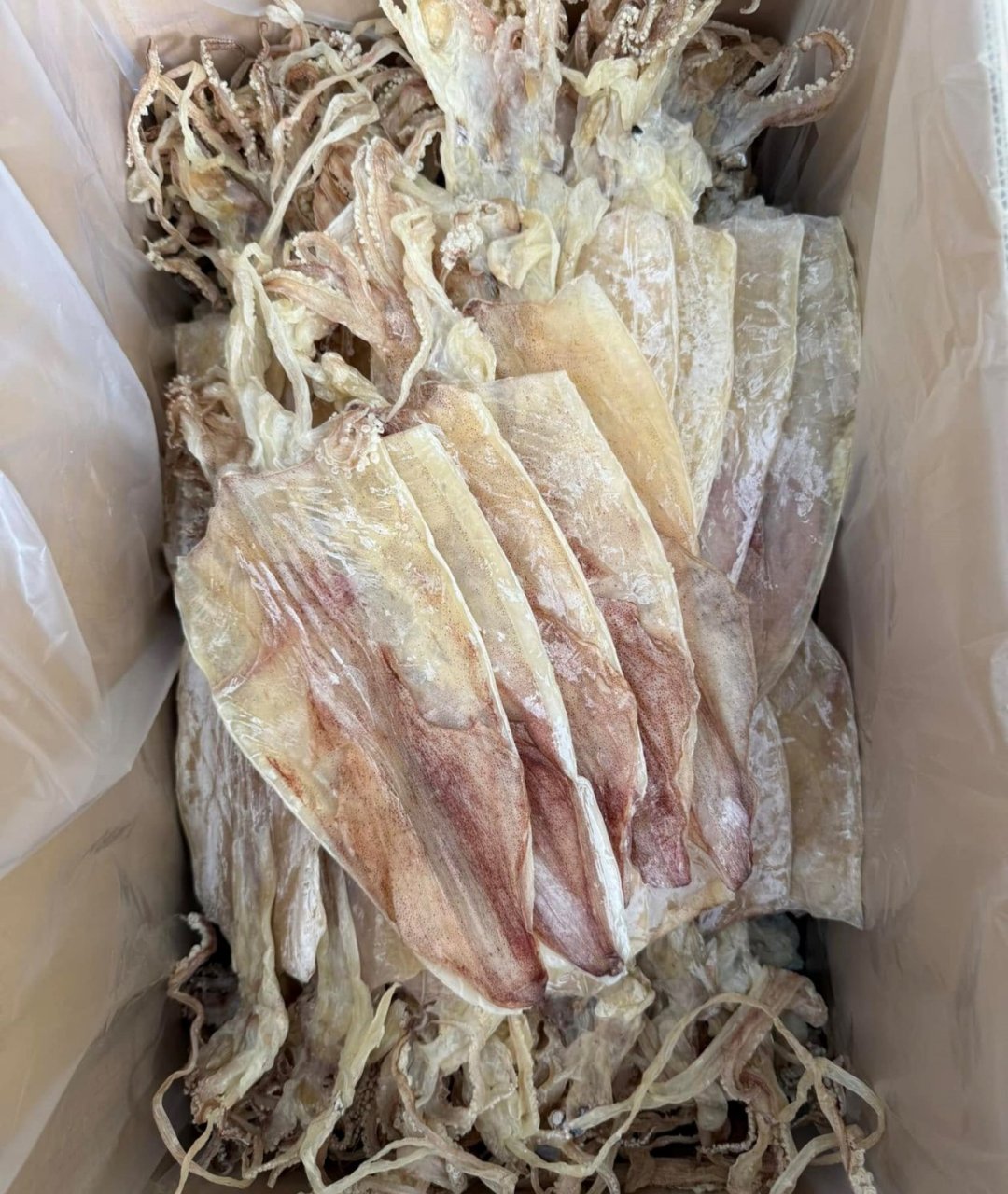 Premium Vietnam Dried Squid Wholesale & Export | HuvyExim