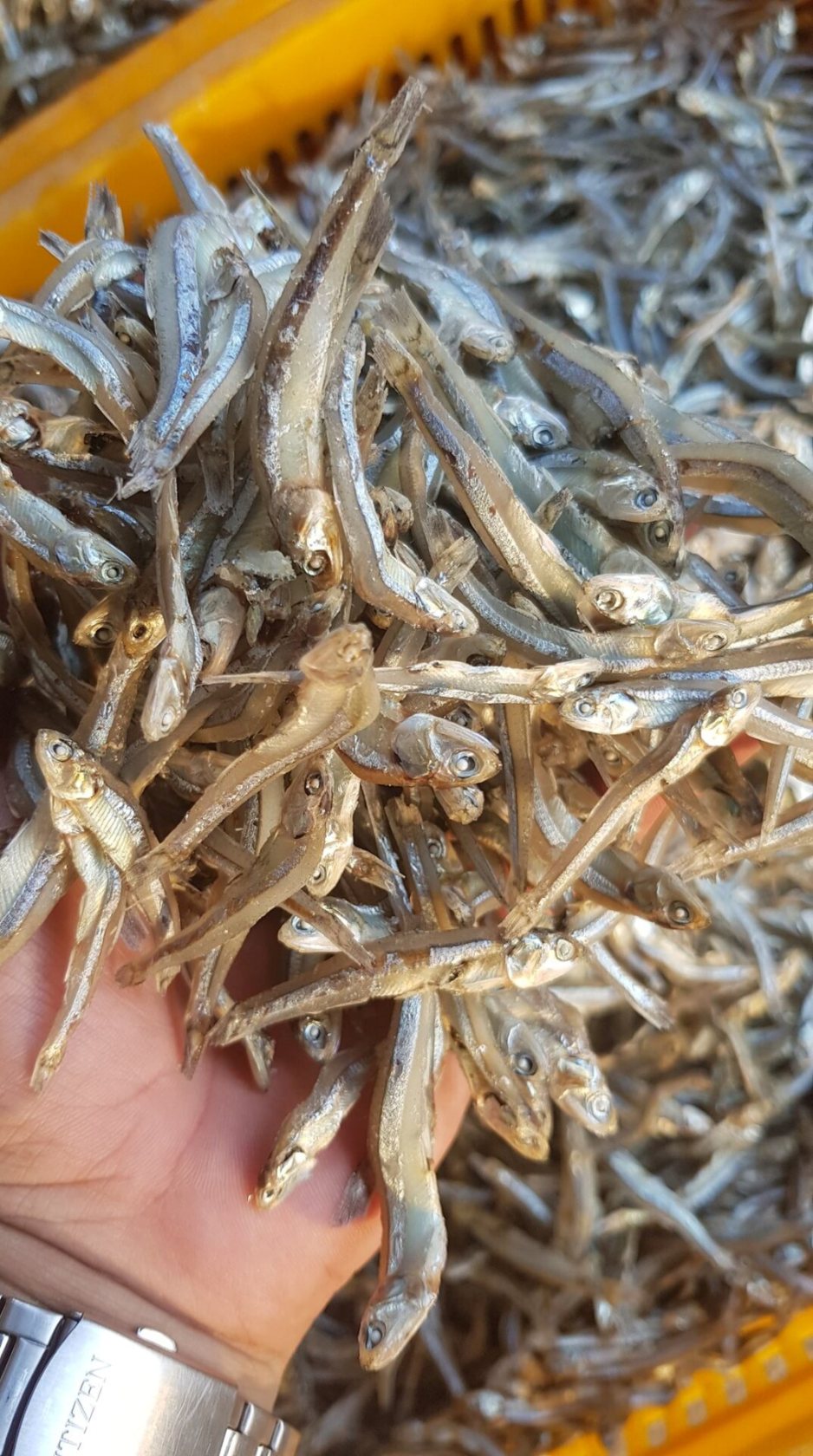 HOMEPAGE 4 Dried Anchovy Fish