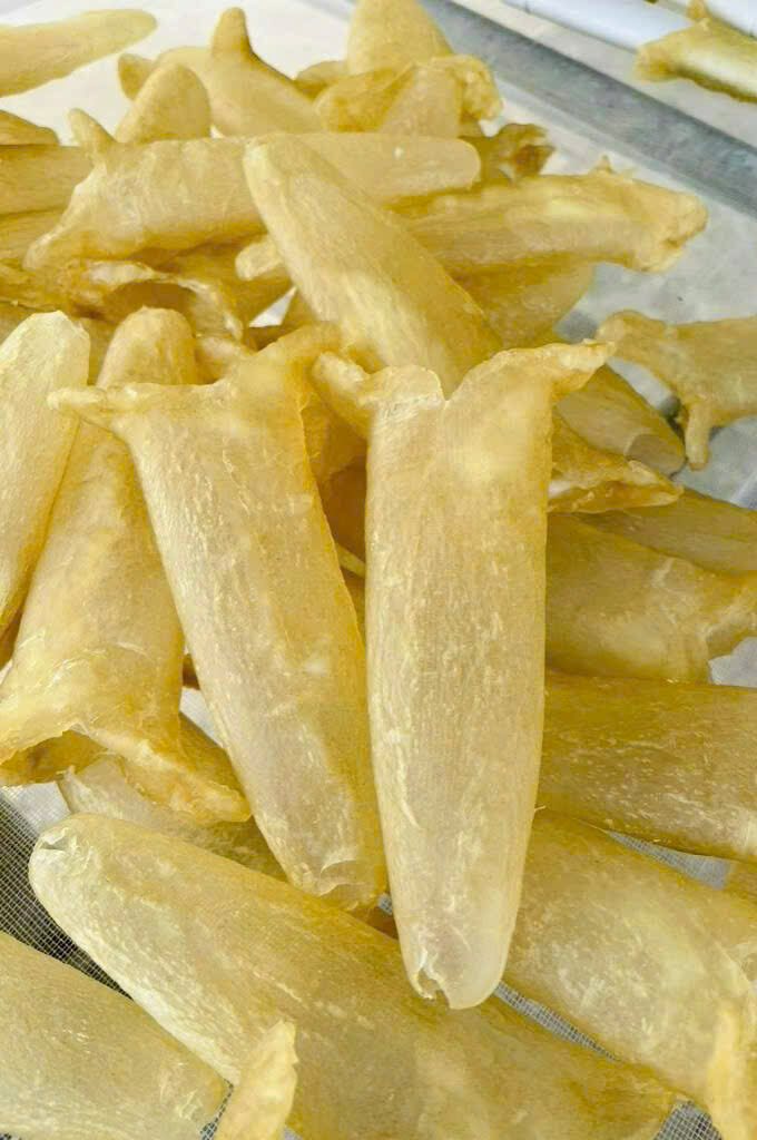 HOMEPAGE 3 Faked Seabass Fish Maw